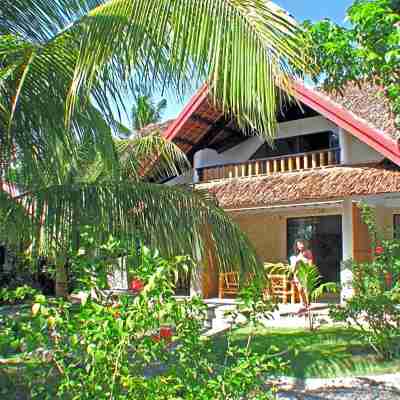 Dolphin House Resort Moalboal Hotel Exterior