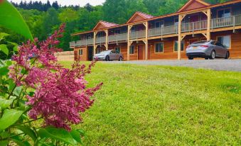 Moose Mountain Inn