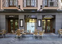 Hotel El Acebo Hotels in Alto Gállego