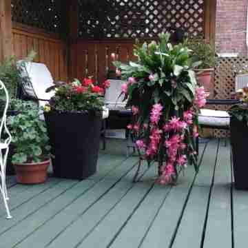 B&B Le Transit Hotel Exterior