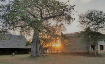 a large tree with a brick wall in the background and a sunset or sunrise at VOI Wildlife Lodge