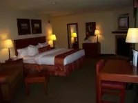 ボーガー アンバサダー イン