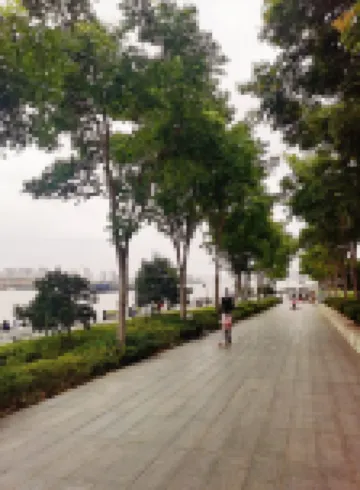 Chongming Zen Courtyard Lujiazui Elegant Residence Host (Taolin Road)