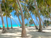 Captal Island Villa Hotel a Gangehi
