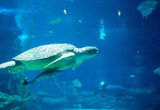 해운대구 아파트먼트