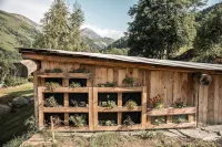 Les Cèdres Hôtel - Restaurant - Spa فنادق في Saint-Sorlin-d'Arves