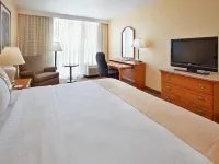 Holiday Inn Mayaguez & Tropical Casino Hotels in Caguabo