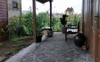@Niek Homestay Hotels in Mojotengah