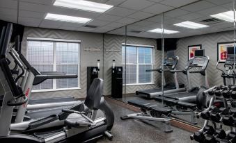 a well - equipped gym with various exercise equipment , including treadmills and weight machines , arranged in a spacious room with large windows at Residence Inn Cincinnati Airport