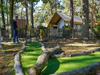 Papendaal Lodge 4 Glampingtent Hotels near Stadhuis Hasselt