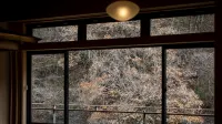 Osawa Onsen Sansuikaku - Mountain view