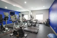 Holiday Inn Express & Suites Dallas Southwest-Cedar Hill Hotels in Midlothian