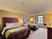 Comfort Inn Edinburg South