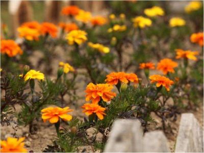 その他 ホテル知床の写真