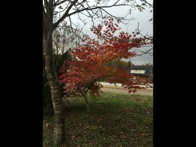 ホテル周辺 プチホテル＆レストラン オールドエイジの写真