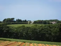 Pengelly Farmhouse B&B Hotels in Mitchell
