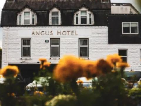 The Angus Hotel & Spa Hotels in Blairgowrie