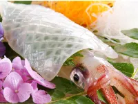 Kasumi Shibayamaso Bekkan Sansuien