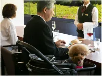 Corredor Yugawara Dog & Resort