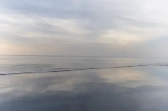 Pohang Cherry Blossom Pool Villa Pension