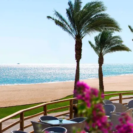 Baron Palace Sahl Hasheesh