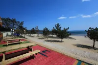 Ireland Hotels in Wando-gun