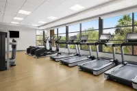 The Westin Desert Willow Villas, Palm Desert - Gym