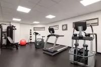 Wingate by Wyndham Green Bay/Airport - Gym