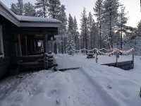 Pasyni Hotels in Kongas