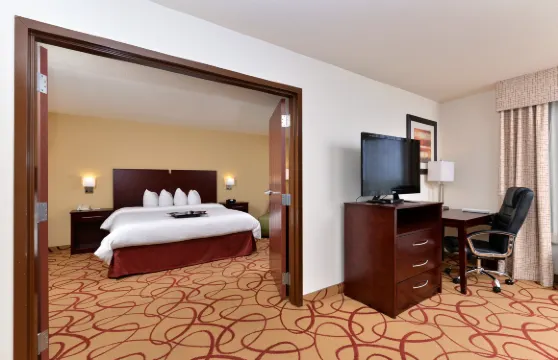 休斯頓迪爾帕克船區希爾頓歡朋酒店