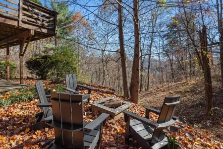 Stylish, secluded cabin minutes from the Biltmore and downtown