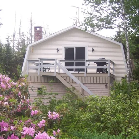 Treetop retreat with access to kayaks and rowboat near Acadia National Park