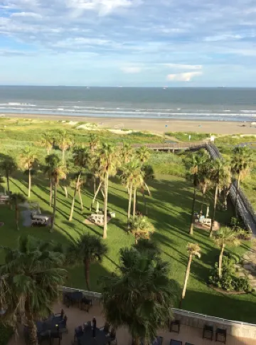 OCEANFRONT - Gorgeous Views of Beach & Pool! Sleek & Modern- 5 star resort-#509