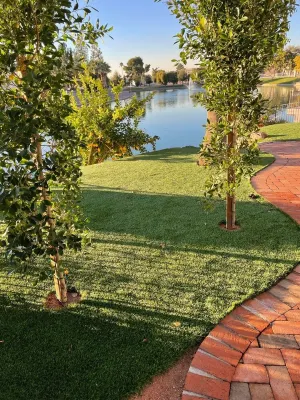 WATER FRONT SWEET HOME