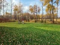Finlayson  New log cabin on 10 acres