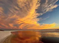 Paddle with Dolphins Boat Dock and Stay Suite