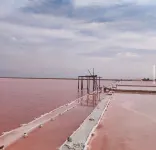 House 300 m from the beach, with very nice exterior