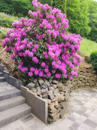 Keller´s new apartment in the attic