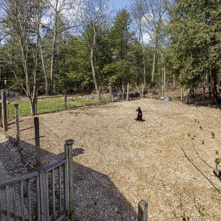 Cleo’s Cabin: Private Retreat with Fenced Dog Run