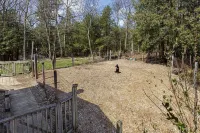 Cleo’s Cabin: Private Retreat with Fenced Dog Run