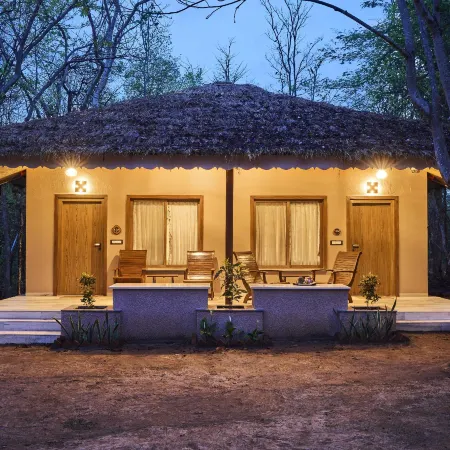 Saj in the Forest, Pench