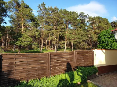 World Heritage City Quedlinburg_Wernigerode_X1f682;Brockenbahn_X1f9f9;HexentanzplatzX1f9f9;