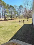 Peacans Grove
