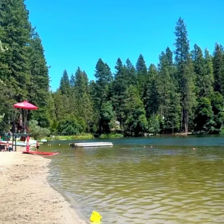 For the discerning guest. Cabin at Lilac Terrace 🌲⛷️with summer TH Lake Access.