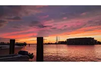 The Neigh-Neigh - Location! Location! Location!