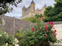 3500 SQF/HISTORIC HOUSE WITH WARMED POOL IN THE OLD SAUMUR/GREAT VIEWS