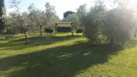 Podere Tresa Farmhouse Umbria-Tuscany Border for Families and Friends- Private Pool