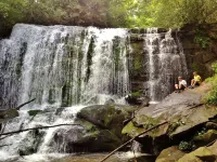 5.5 Acre Creek Front ~ Hi Speed Internet/ROKU TV