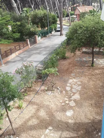 Apartment with veranda and garden just 300 meters from the sea Отели рядом с достопримечательностью «Podere Sapaio»