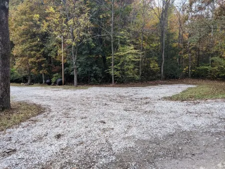 Trail 13 Lodge on Creek with Direct Trail Access